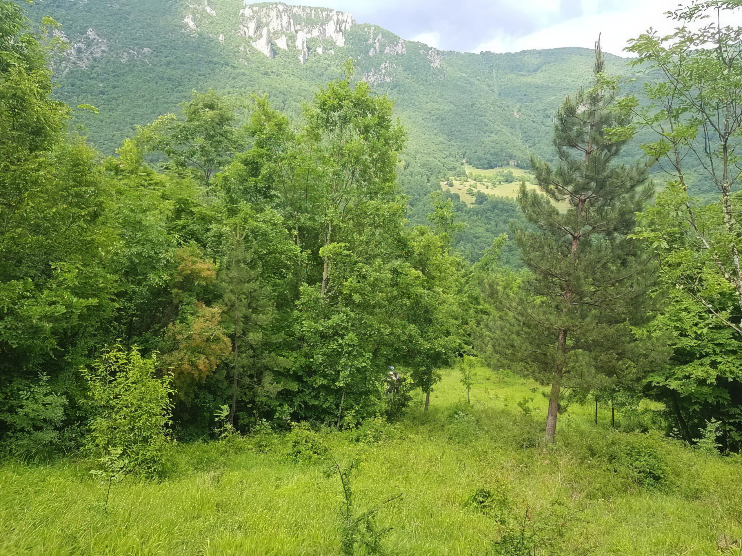 Slika nekretnine 8