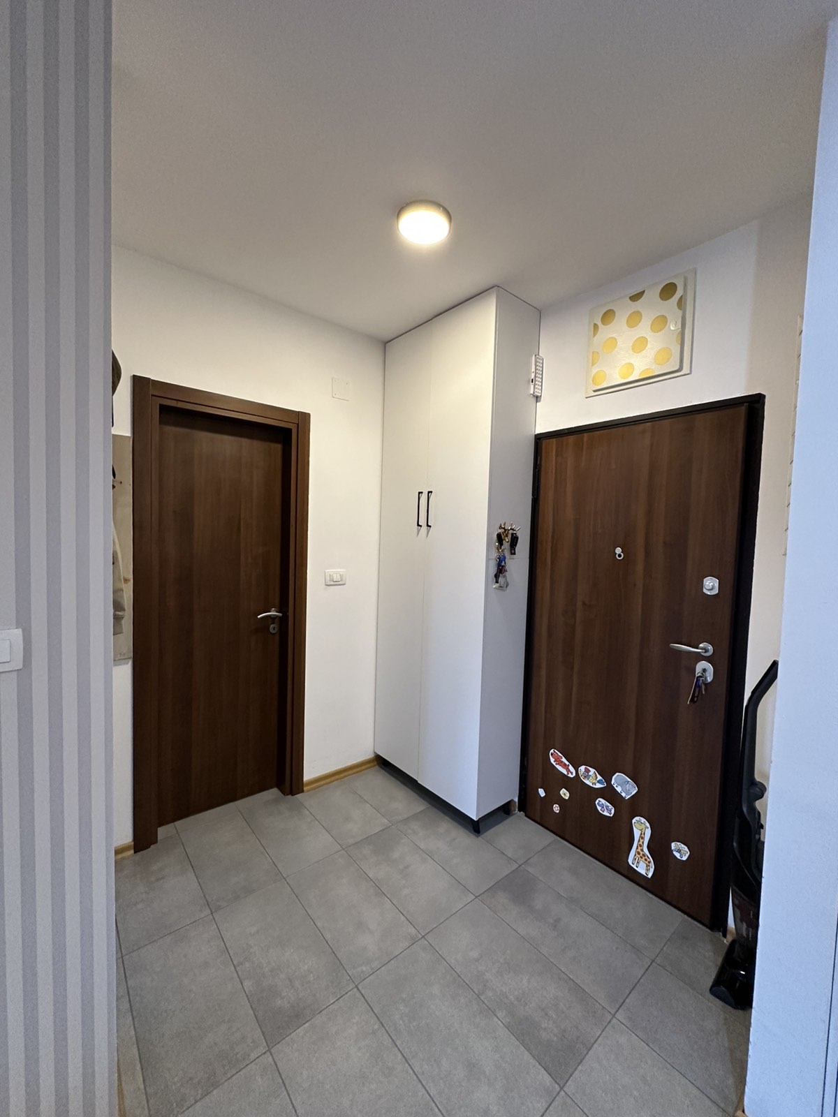 8de2d502-7df3-473f-ae3e-acf28a2d485a.jpg