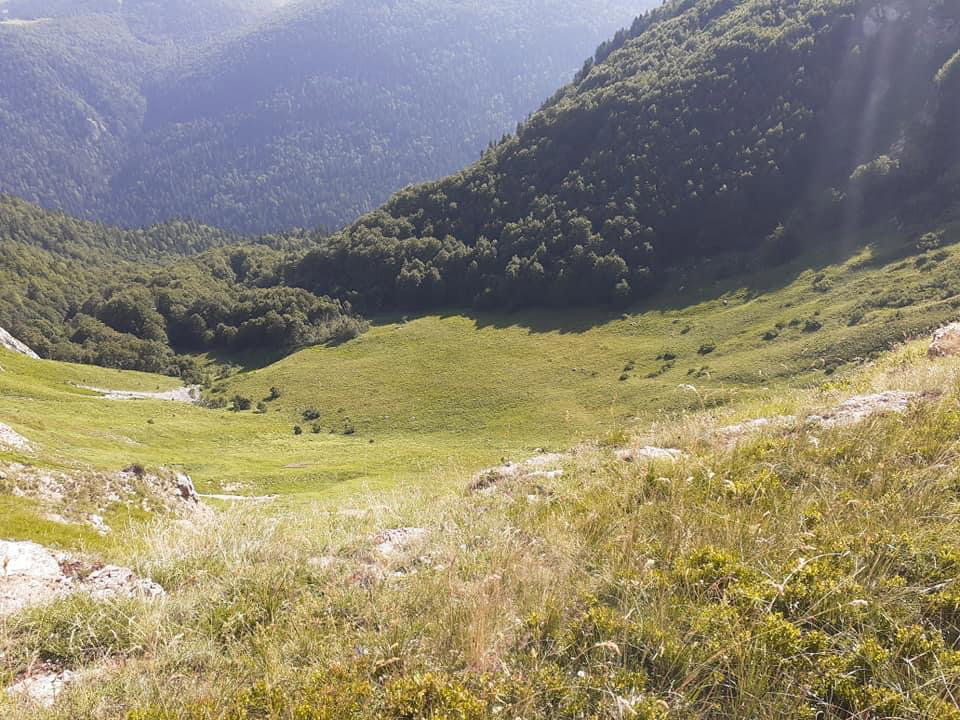 Sale - Land Kolašin, Kolašin
