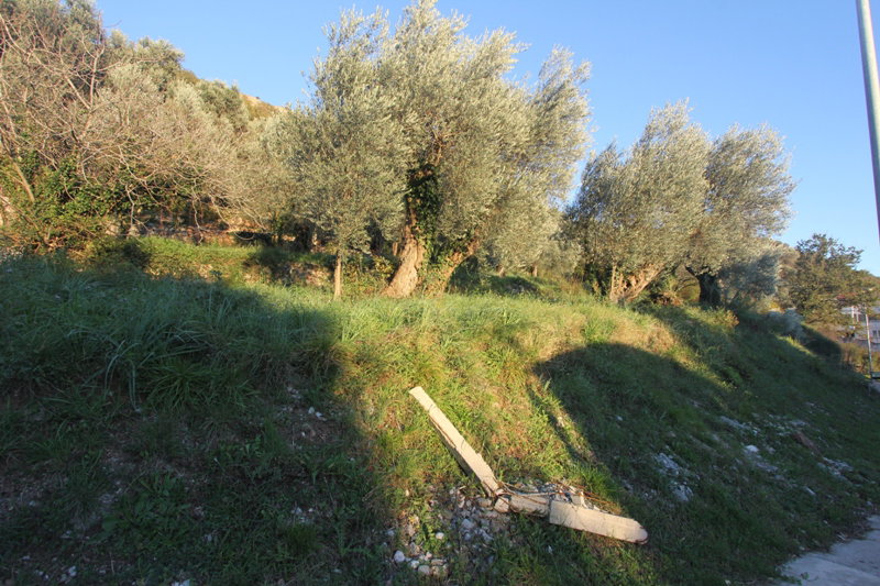 Slika nekretnine 4