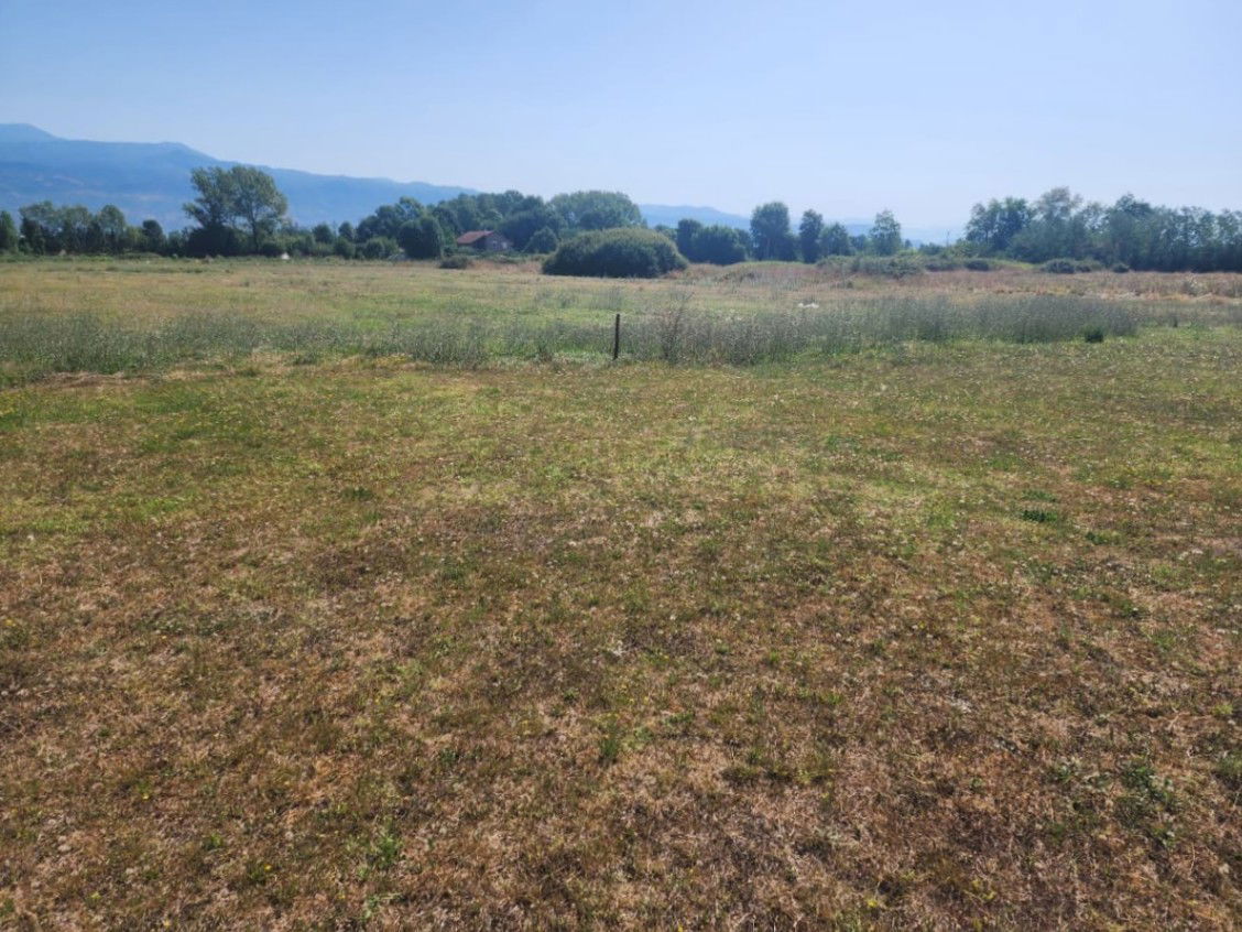 Prodaja - Zemljište Danilovgrad, Grlić