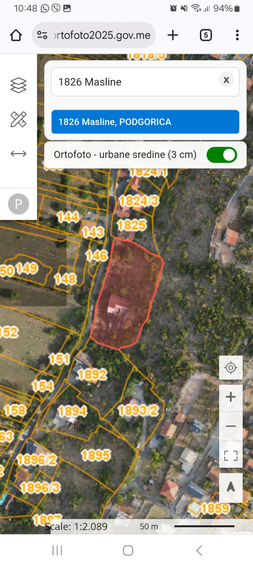 Продаж - Земля Podgorica, Masline