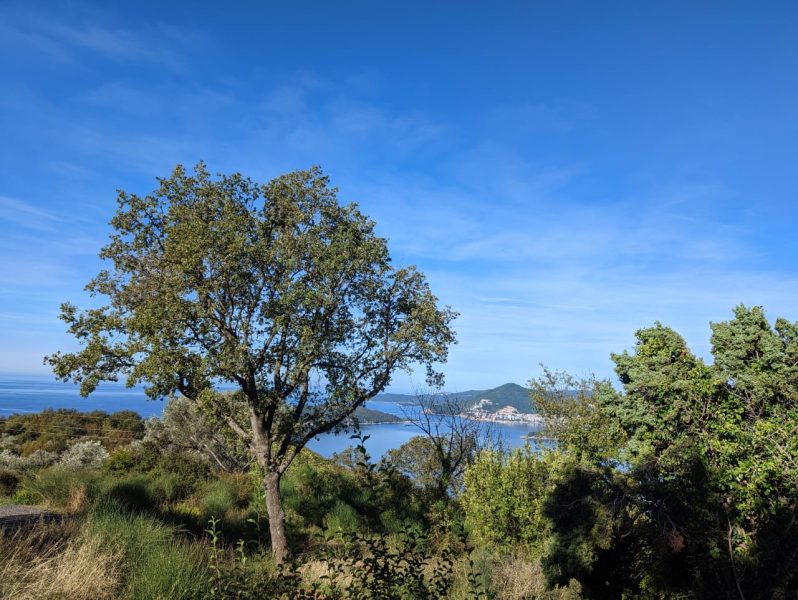 Sale - Land Budva, Čelo Brdo