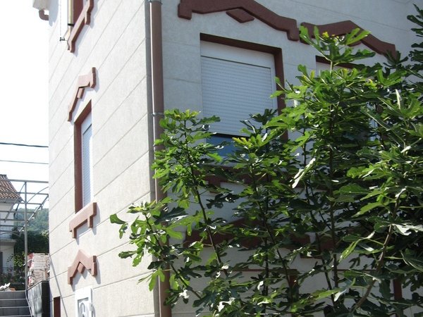 Slika nekretnine 11