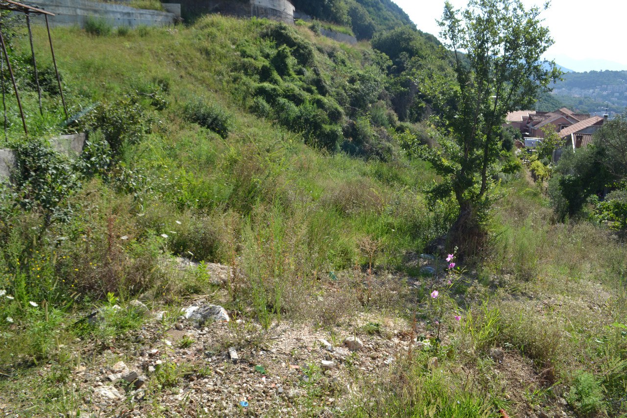 Slika nekretnine 13