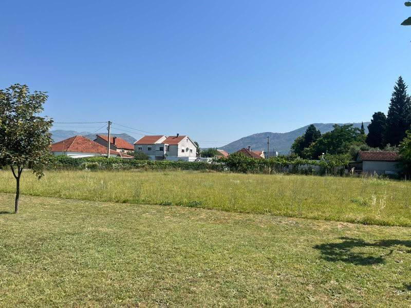 Продажа - Земля Podgorica, Masline