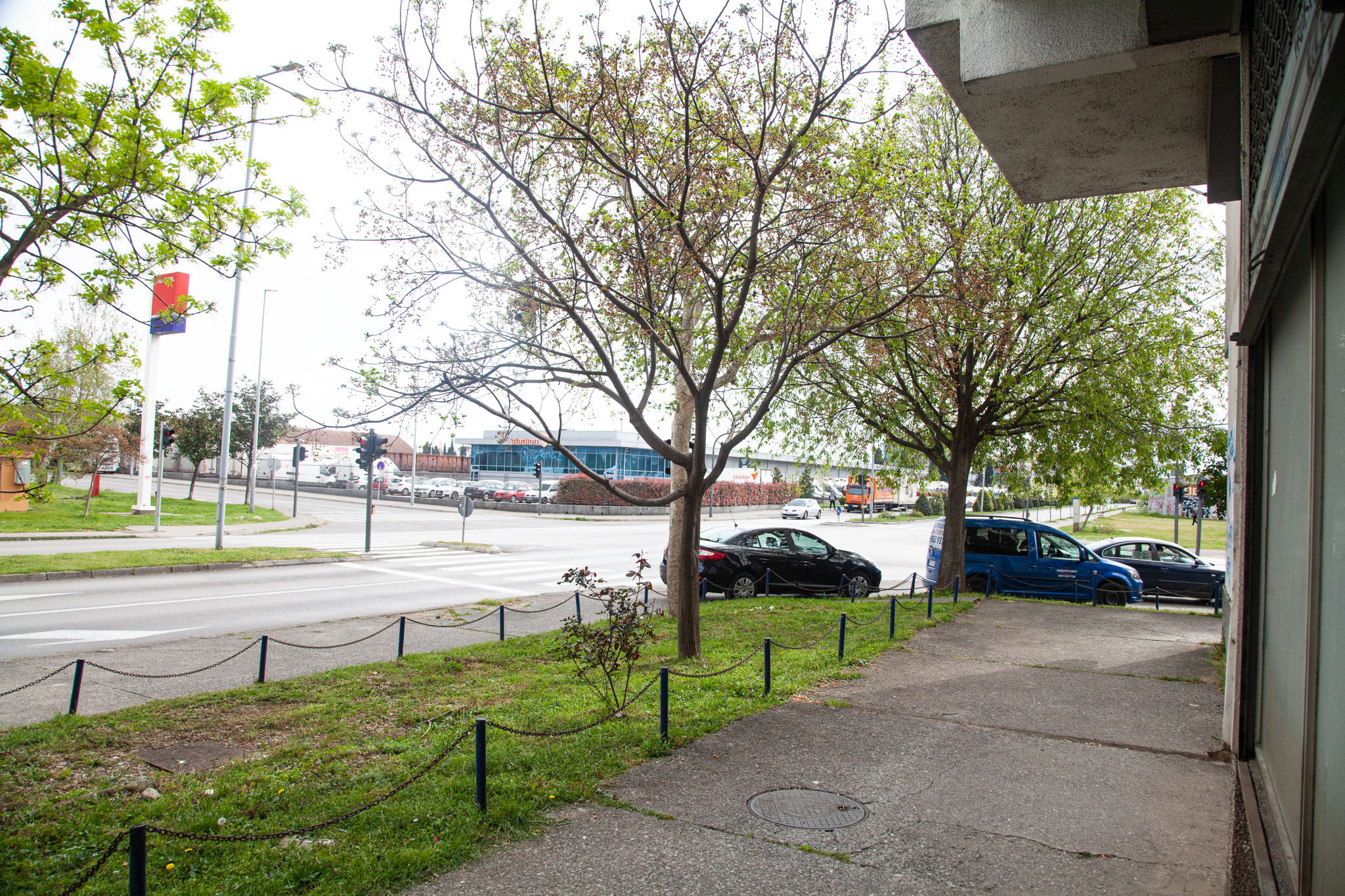 9b41ae01-ae93-4f73-aba1-c373daa82e26.jpg