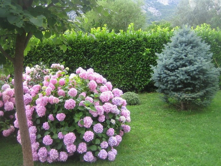 Slika nekretnine 3