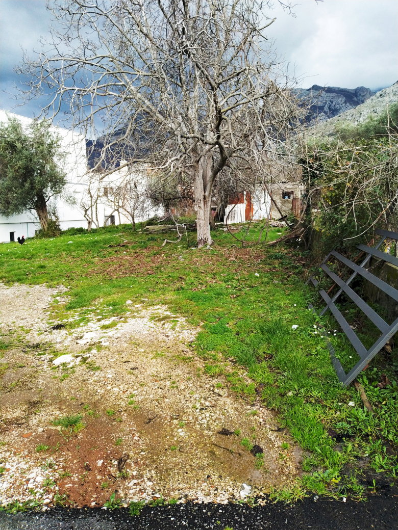 9dbf4faa-29f2-4322-8c92-b311fbad700f.jpg
