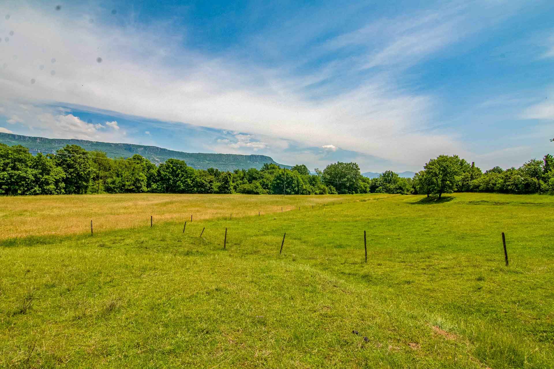 Sale - Land Danilovgrad, Martinići