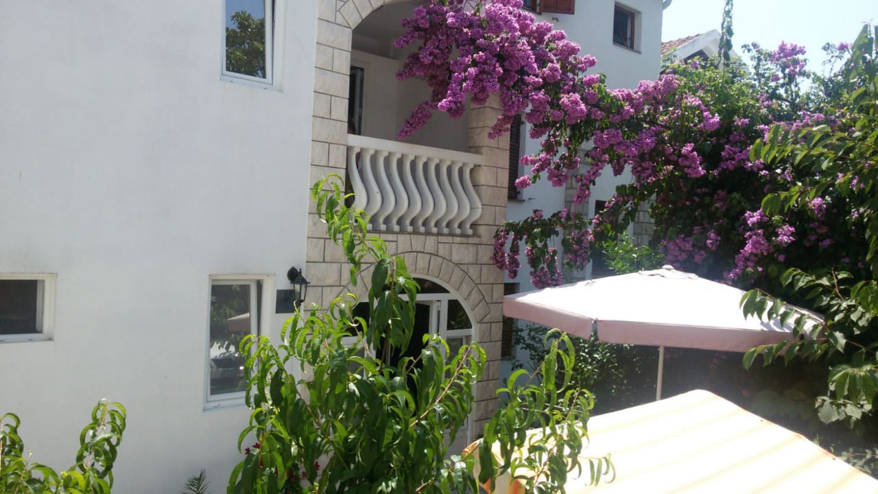 Sale - Office space Budva, Budva
