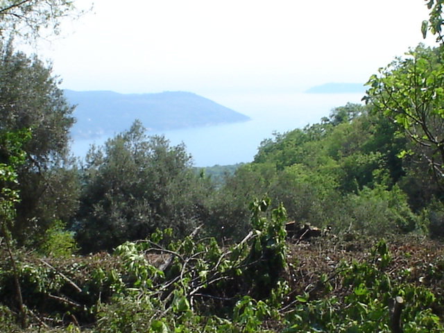 Slika nekretnine 8