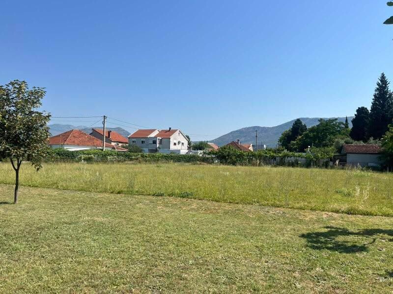 Продажа - Земля Podgorica, Masline