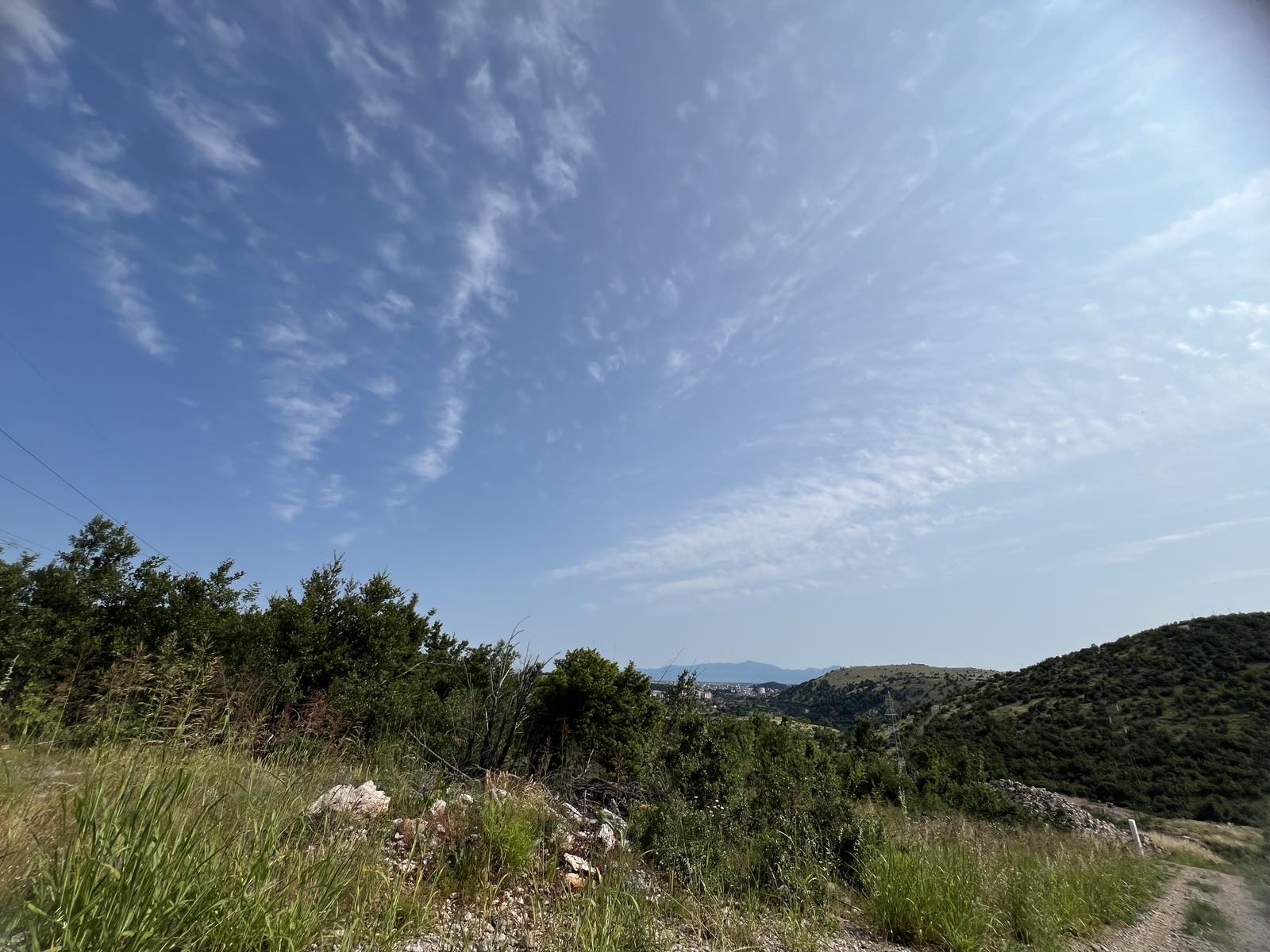 a869ffe6-a23e-4496-8350-42790f9f4726.jpg