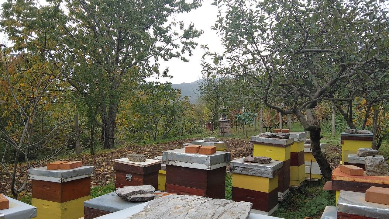 Slika nekretnine 7