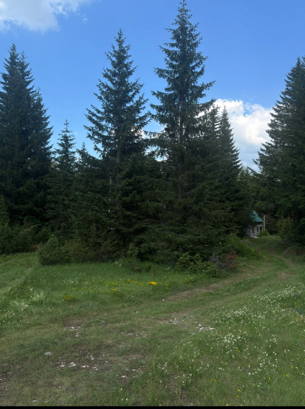 Slika nekretnine 7