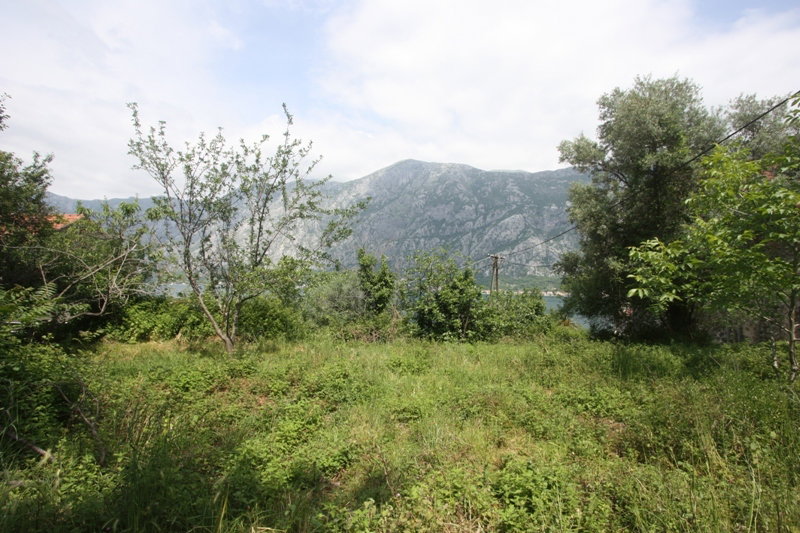 Slika nekretnine 11
