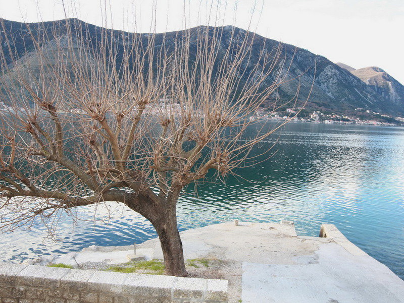 Slika nekretnine 6