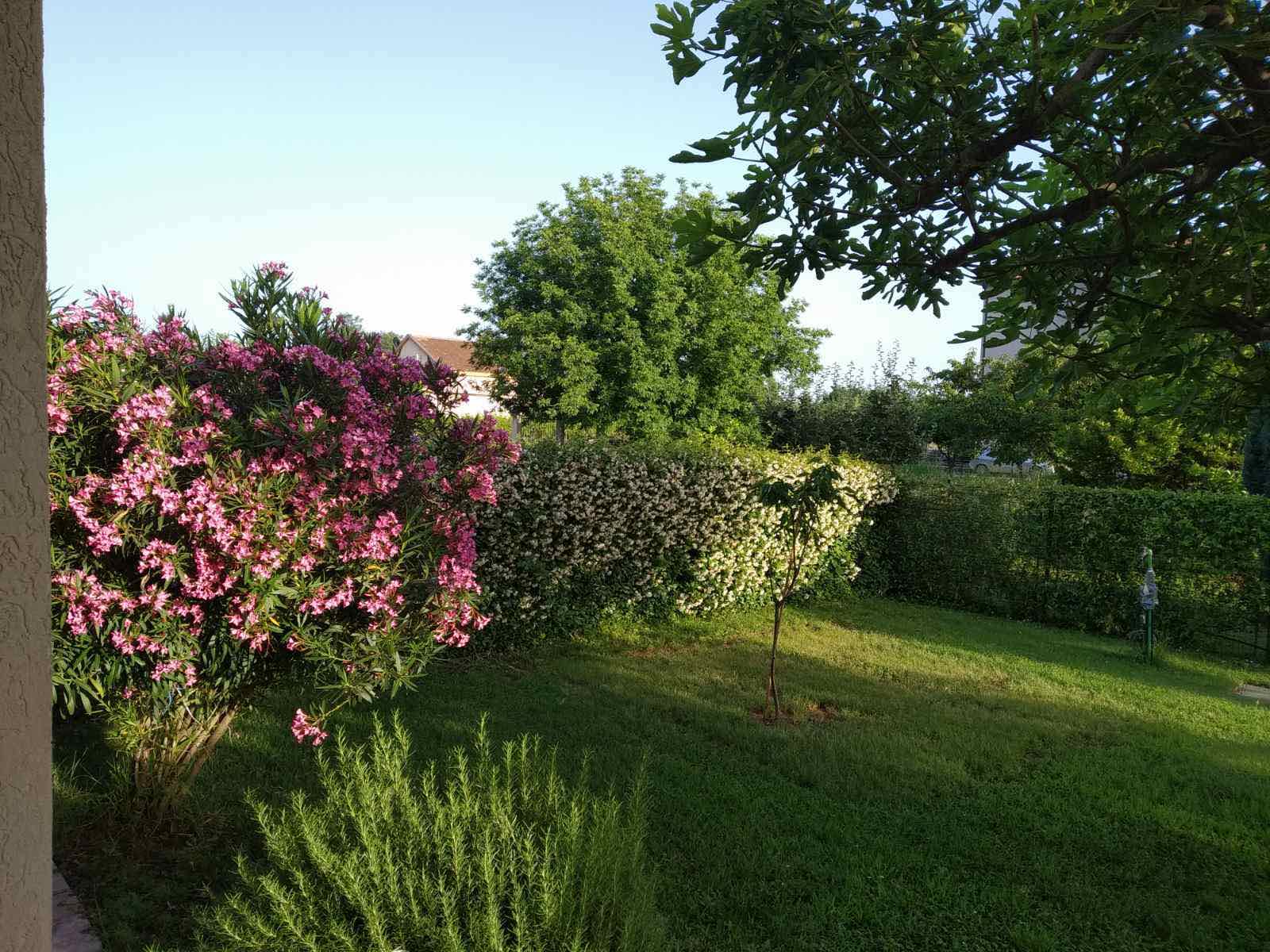 Slika nekretnine 18