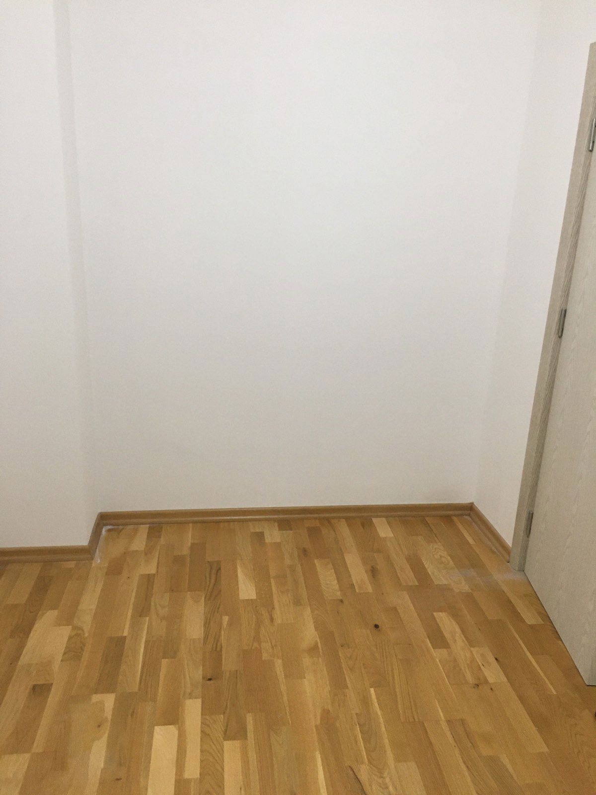 ac06d87a-2f9b-4b0a-bfef-4a2084e8279a.jpg