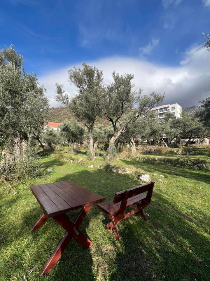 Sale - Apartment Budva, Bečići