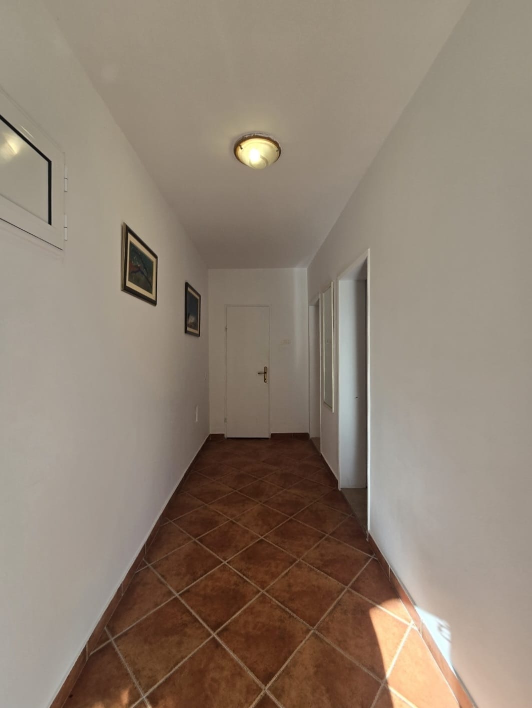 b3aef39c-90d7-4b37-9316-f08f4ec98f3b.jpg
