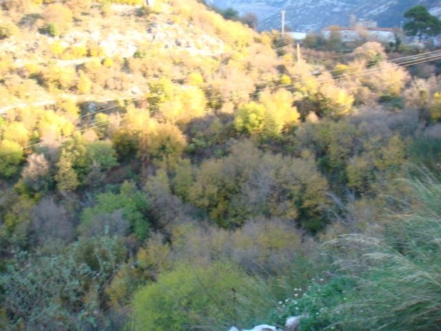 Slika nekretnine 3