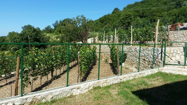 Slika nekretnine 6