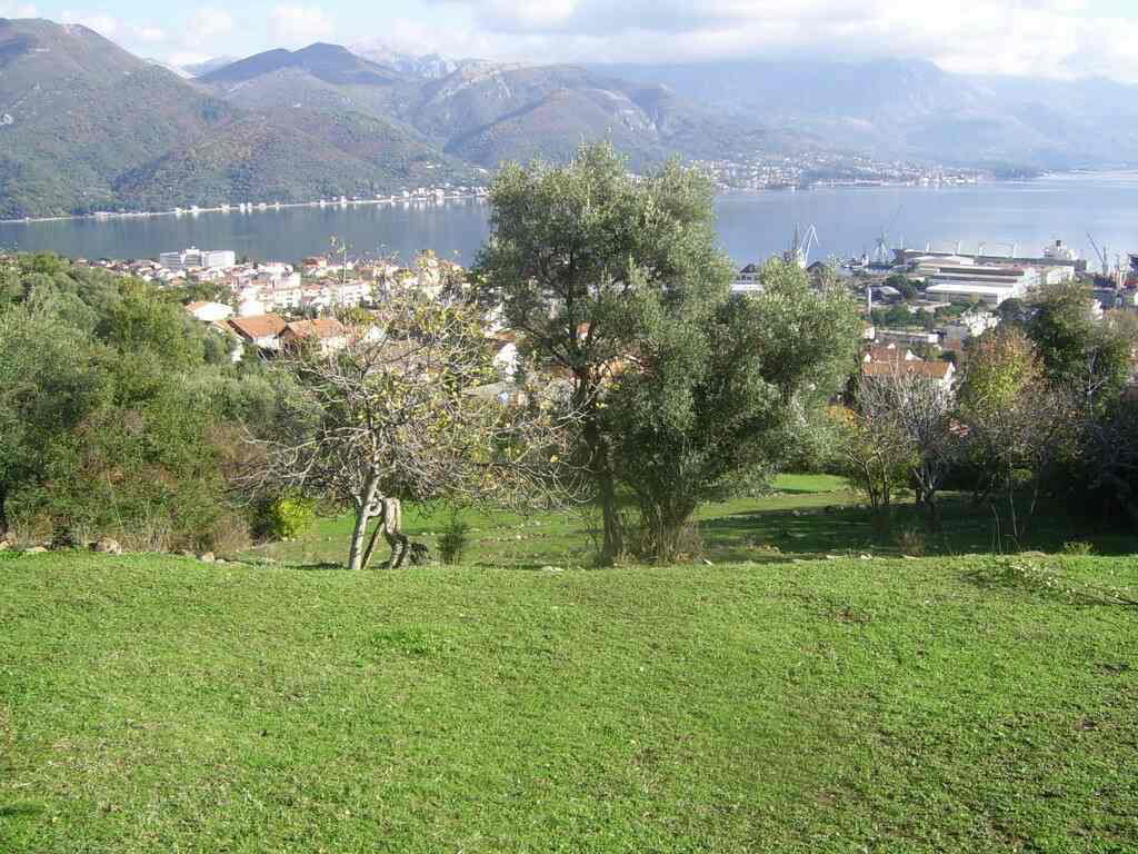 Slika nekretnine 4