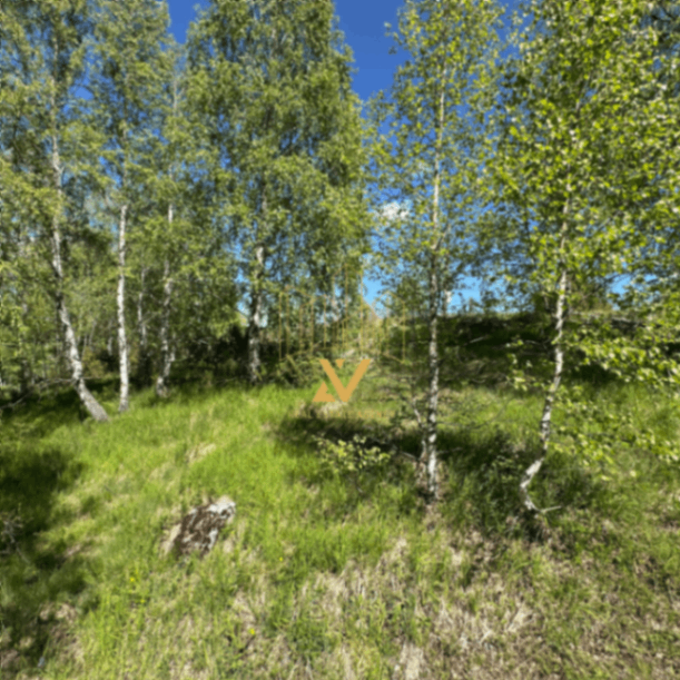 b5b7f3d9-aaea-4007-a47d-72917ec93bc1.png
