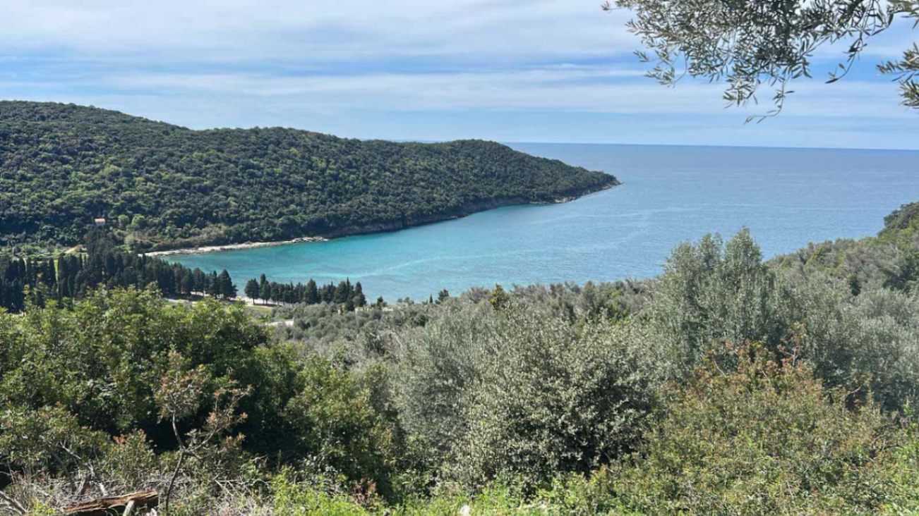 Prodaja - Zemljište Ulcinj, Bratica