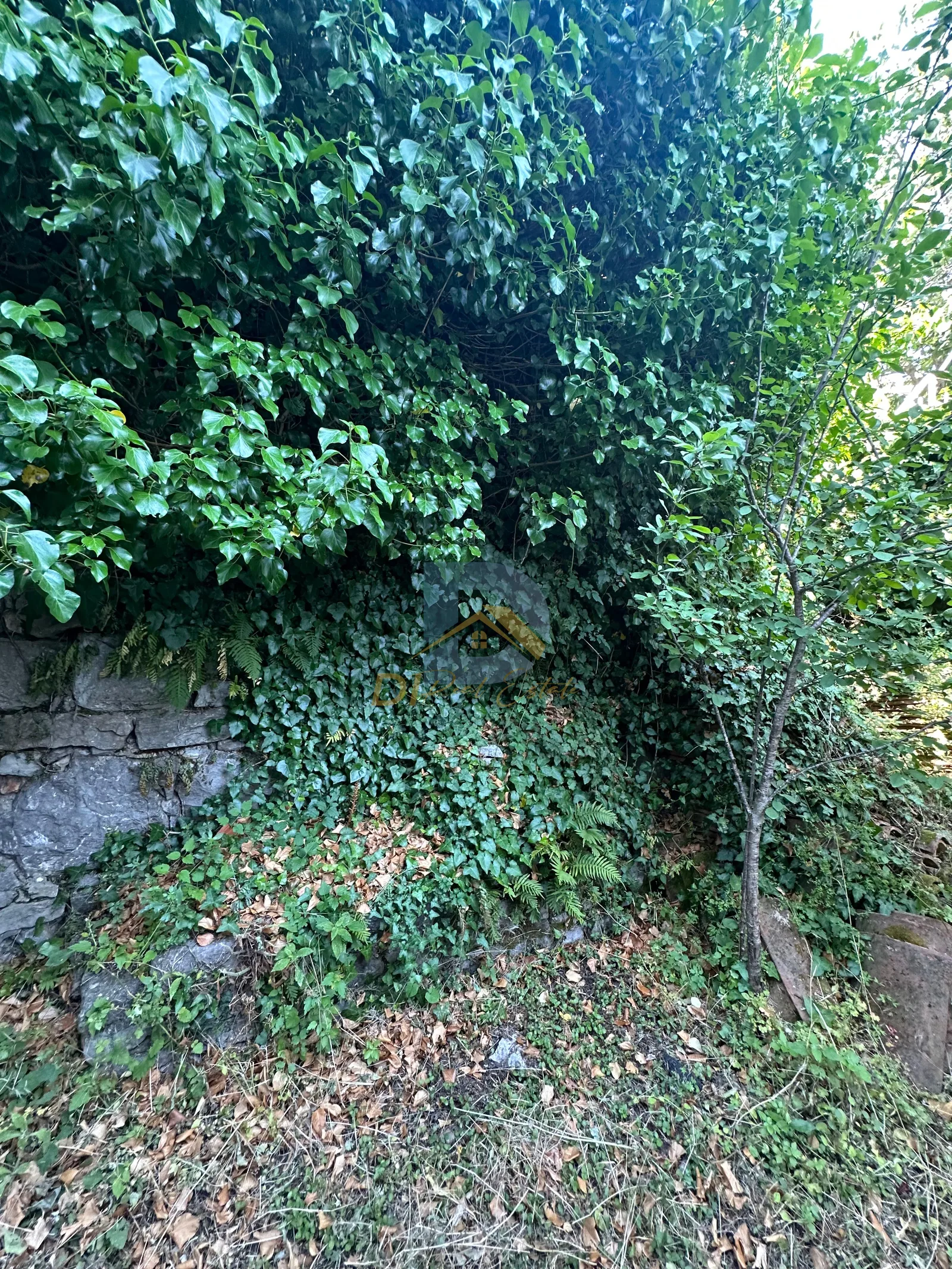 Slika nekretnine 15