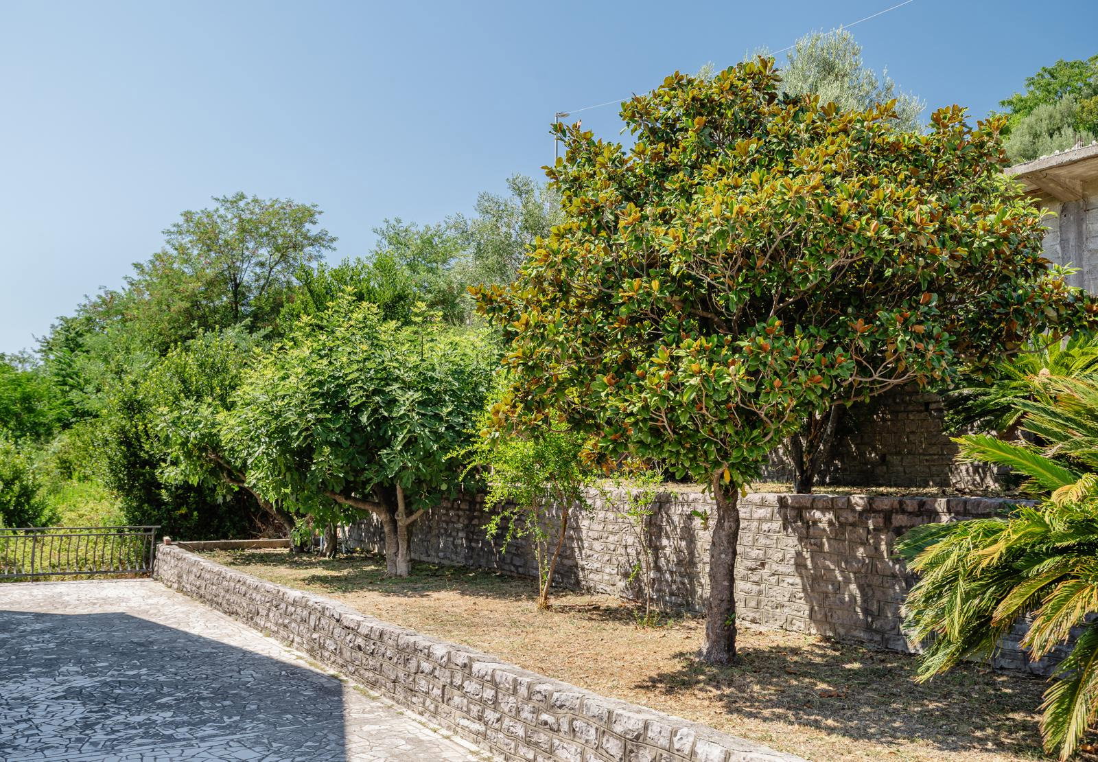 Slika nekretnine 13
