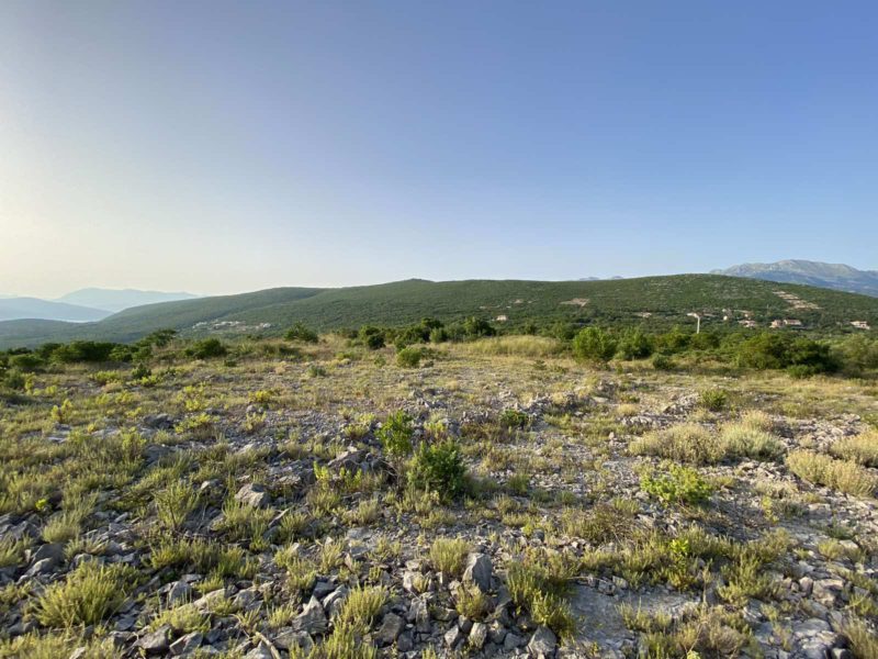 Sale - Land Kotor, Zagora