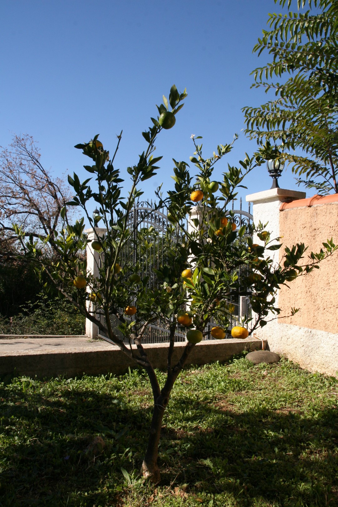 Slika nekretnine 3