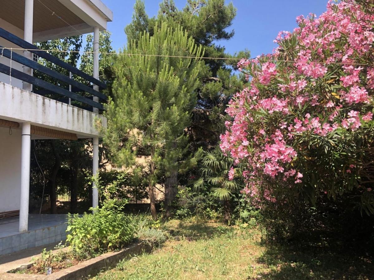 Prodaja - Kuća Bar, Dobre Vode