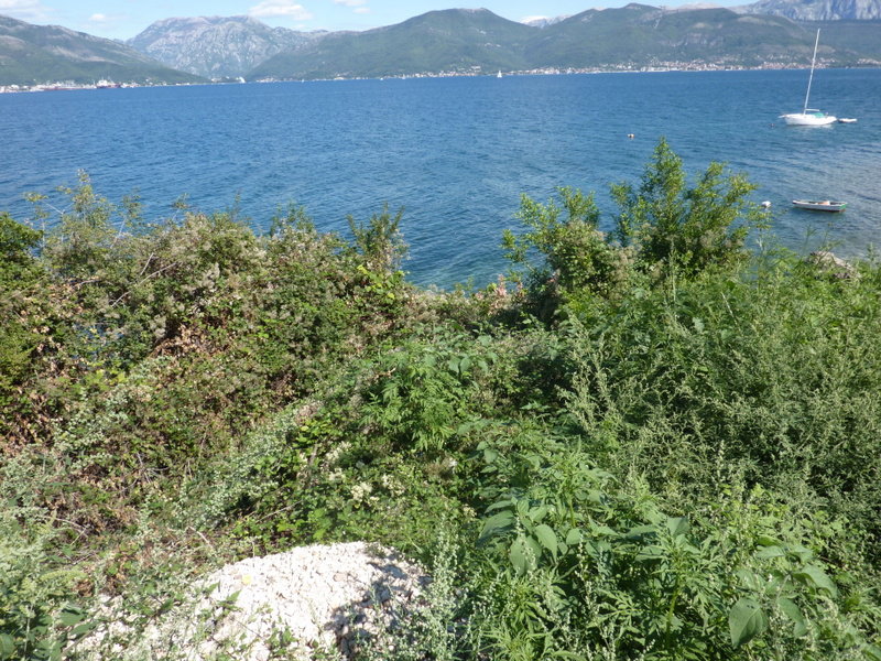 Продажа - Земля Tivat, Krašići