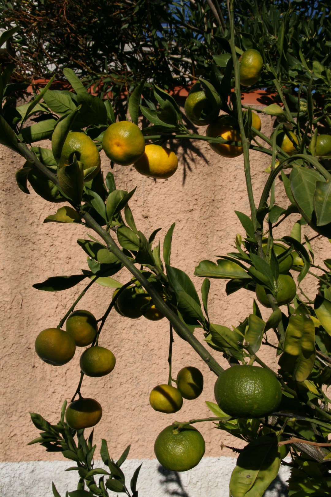 Slika nekretnine 4