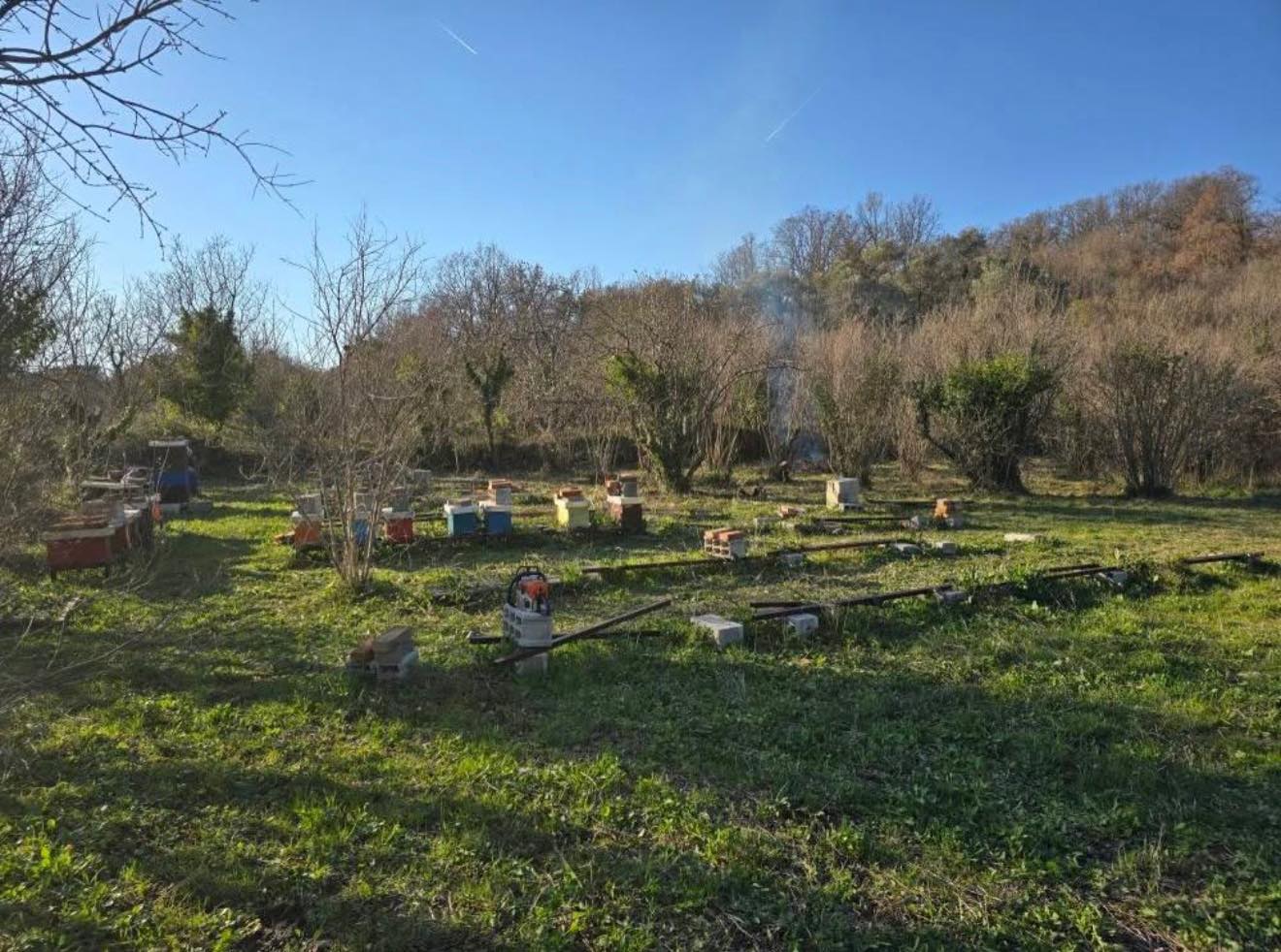 Sale - Land Bar, Dobre Vode
