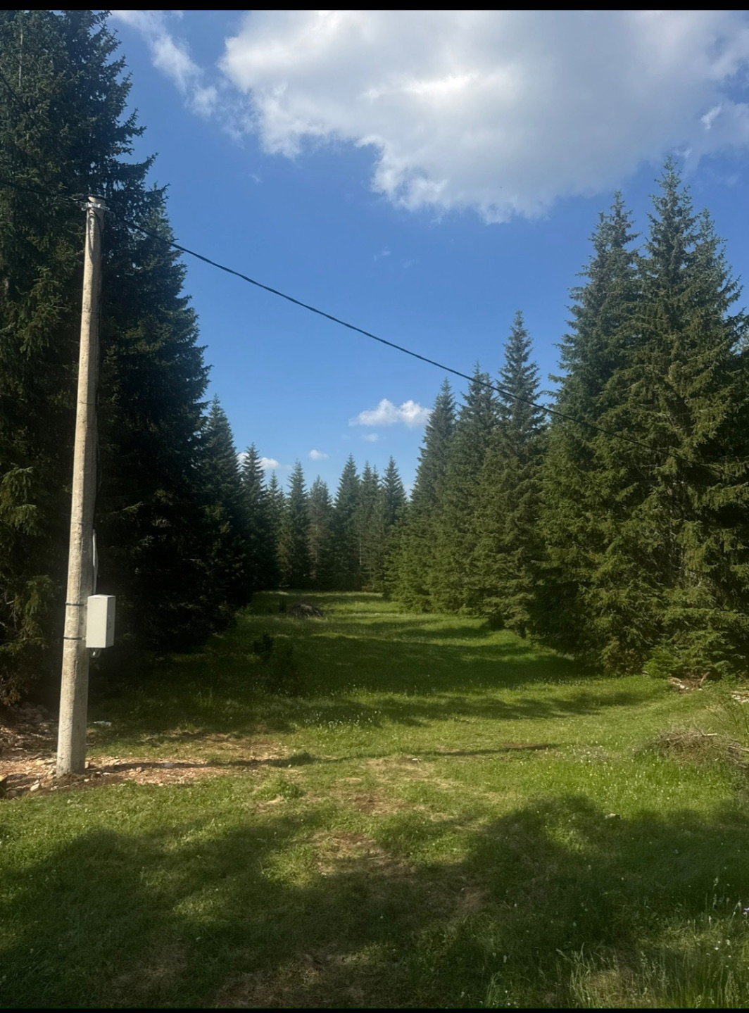 Prodaja - Zemljište Žabljak, Podgora