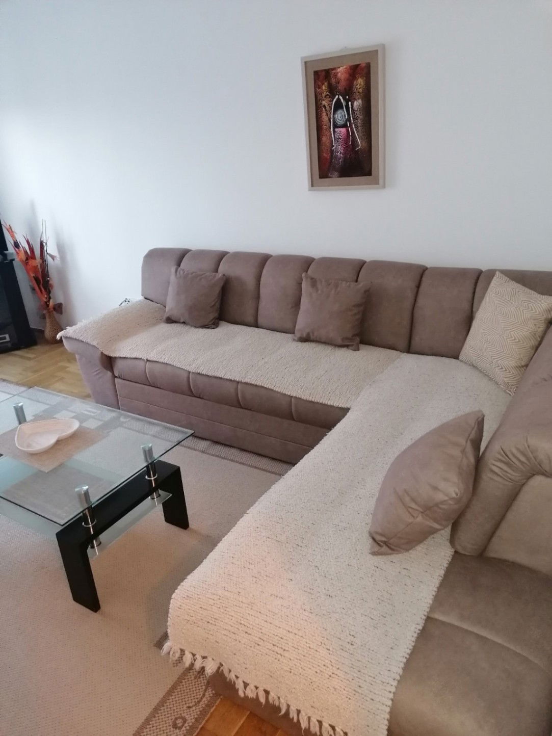 Rent - Apartment Podgorica, Preko Morače