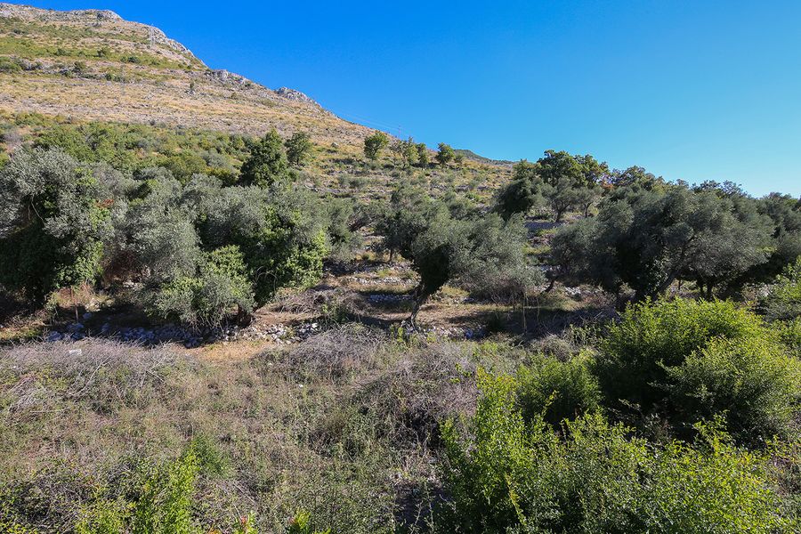 Продажа - Земля Budva, Reževići