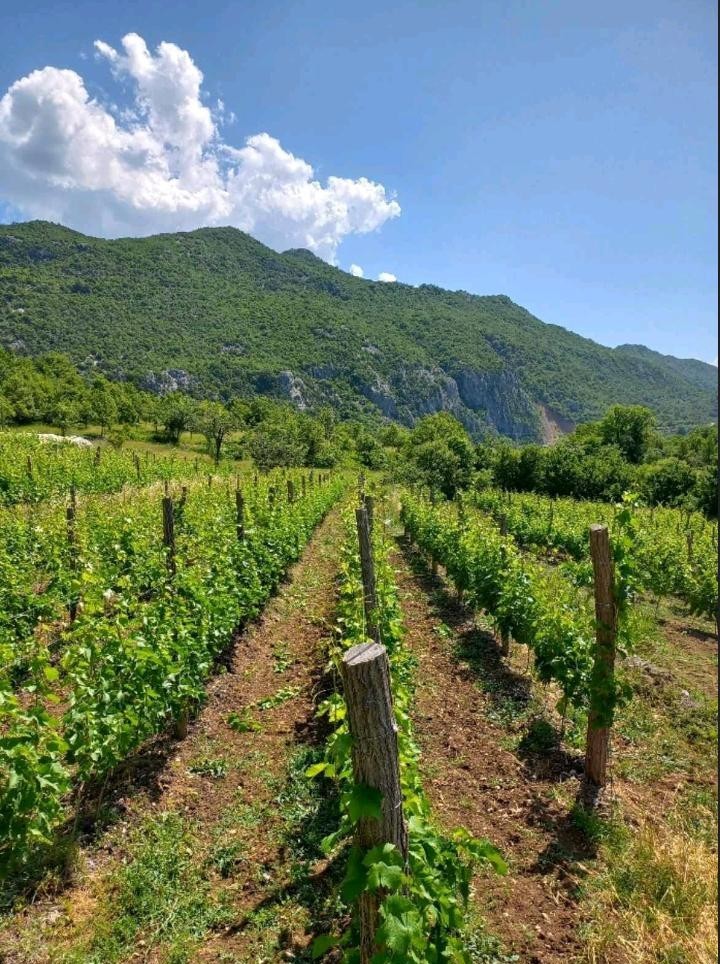 Satış - Arazi Podgorica, Zabjelo