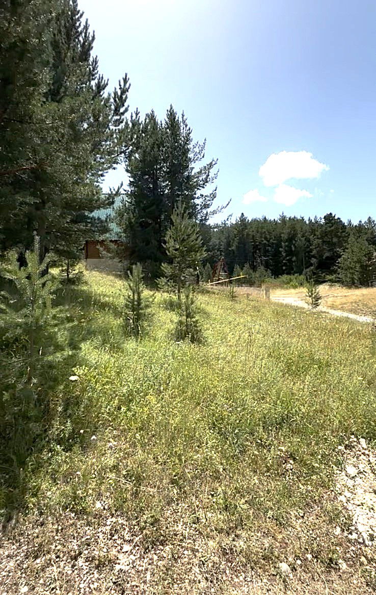 d2b27169-242a-4499-8d2c-bfa607219459.jpg