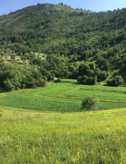 Продаж - Земля Podgorica, Radovče