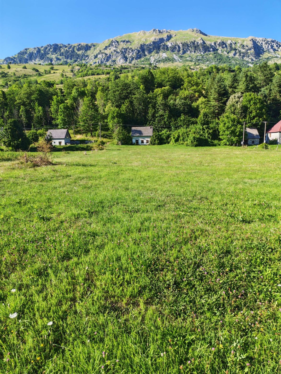 Sale - Land Kolašin, Gornje Lipovo