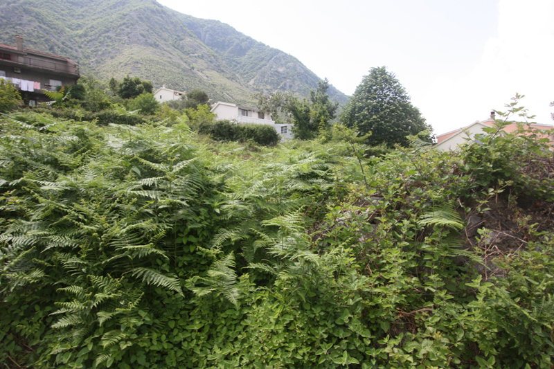 Slika nekretnine 2