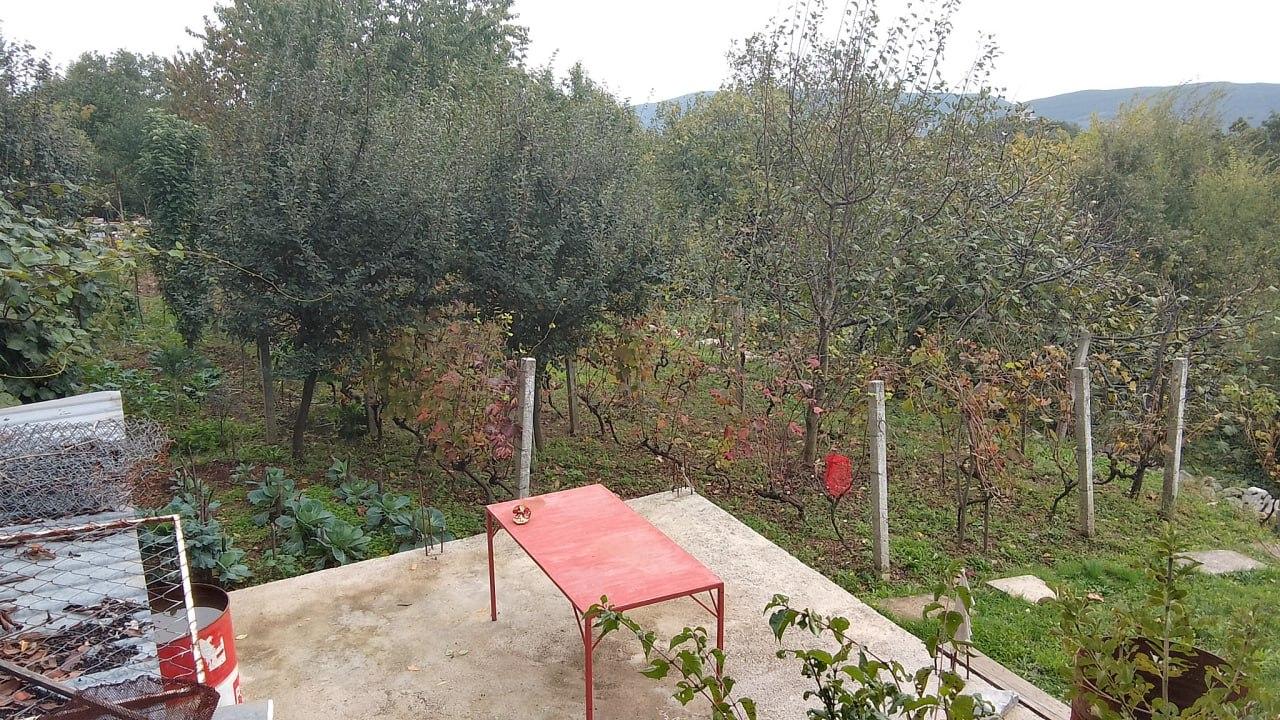 Slika nekretnine 6