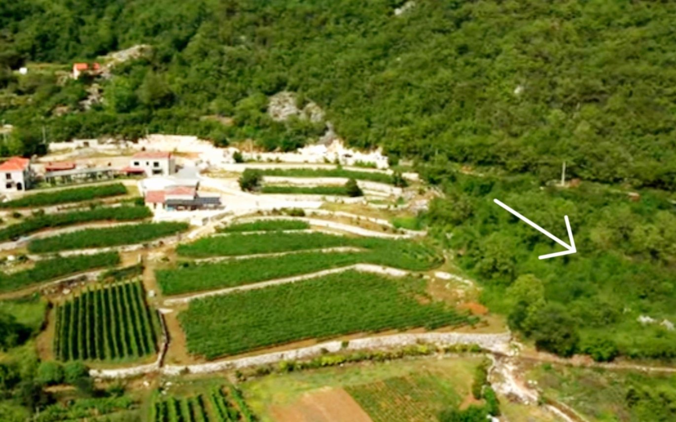 Продажа - Земля Cetinje, Dobrsko Selo
