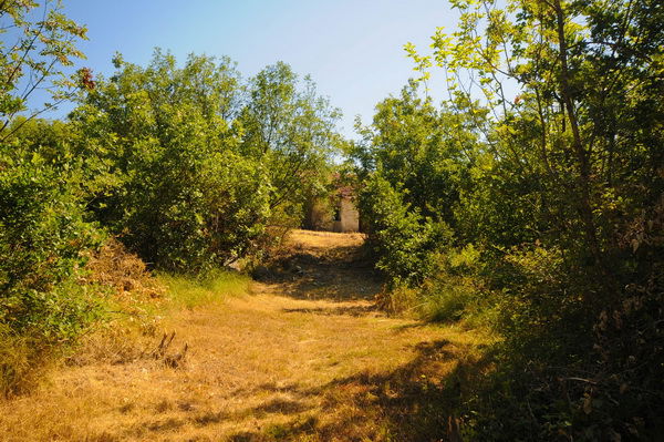 Продаж - Земля Danilovgrad, Danilovgrad